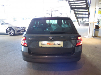 Skoda Fabia Gebrauchtwagen