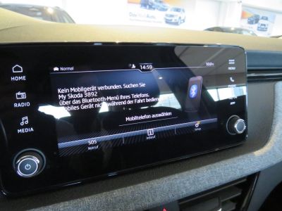 Skoda Kamiq Gebrauchtwagen