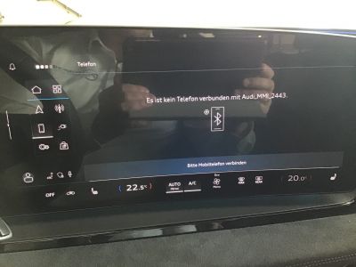 Audi Q6 e-tron Gebrauchtwagen