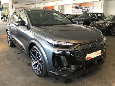 Audi Q6 e-tron Gebrauchtwagen