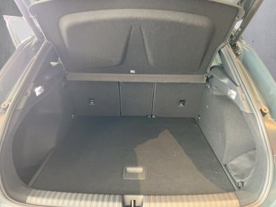 Cupra Terramar Gebrauchtwagen