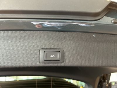 Cupra Terramar Gebrauchtwagen