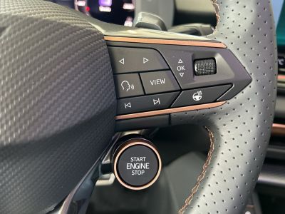 Cupra Terramar Gebrauchtwagen