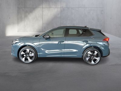 Cupra Terramar Gebrauchtwagen