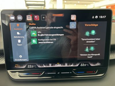 Cupra Terramar Gebrauchtwagen