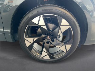 Cupra Terramar Gebrauchtwagen