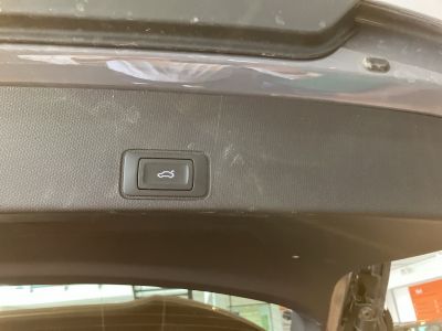 Cupra Terramar Gebrauchtwagen