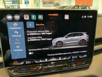 Cupra Terramar Gebrauchtwagen