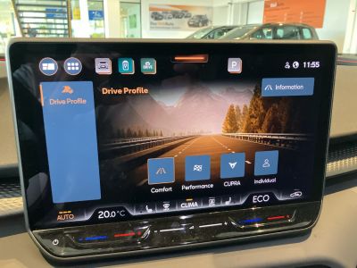 Cupra Terramar Gebrauchtwagen