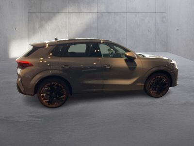 Cupra Terramar Gebrauchtwagen
