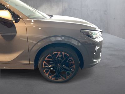 Cupra Terramar Gebrauchtwagen