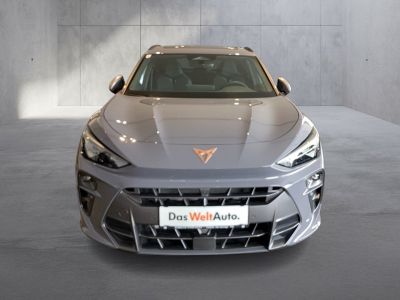 Cupra Terramar Gebrauchtwagen