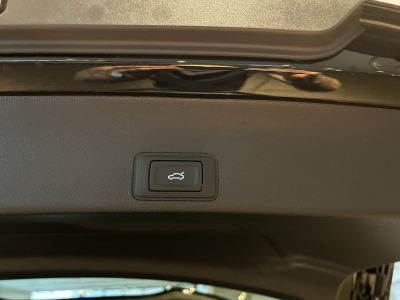 Cupra Terramar Gebrauchtwagen