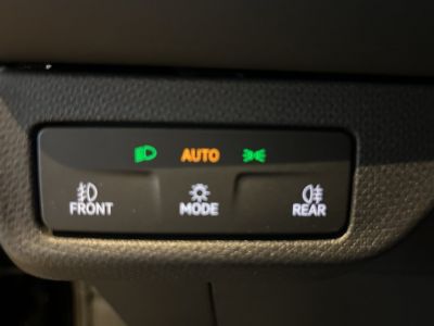 Cupra Terramar Gebrauchtwagen