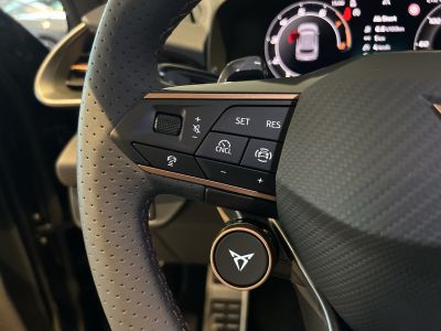 Cupra Terramar Gebrauchtwagen