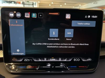 Cupra Terramar Gebrauchtwagen