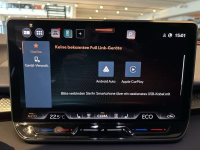 Cupra Terramar Gebrauchtwagen