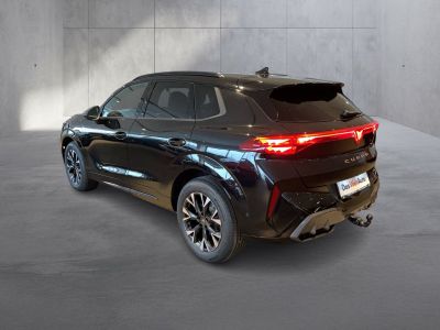 Cupra Terramar Gebrauchtwagen