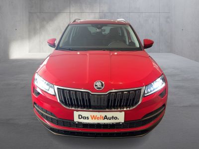 Skoda Karoq Gebrauchtwagen