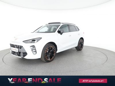 Cupra Terramar Gebrauchtwagen