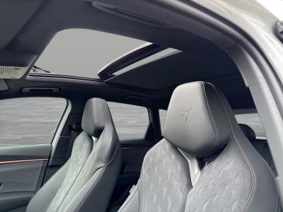 Cupra Terramar Gebrauchtwagen