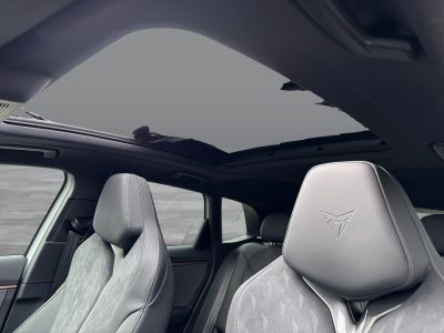 Cupra Terramar Gebrauchtwagen