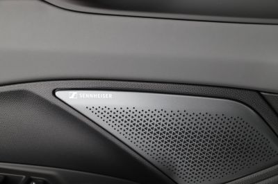 Cupra Terramar Gebrauchtwagen