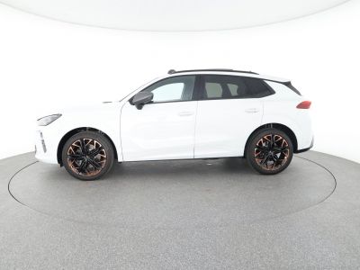 Cupra Terramar Gebrauchtwagen