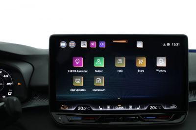 Cupra Terramar Gebrauchtwagen