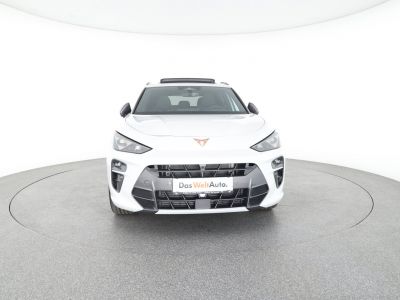 Cupra Terramar Gebrauchtwagen