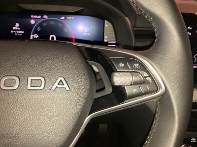 Skoda Kamiq Gebrauchtwagen