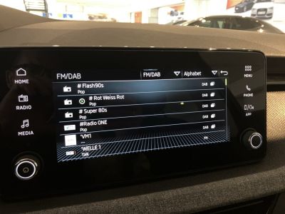 Skoda Kamiq Gebrauchtwagen