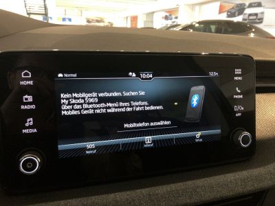 Skoda Kamiq Gebrauchtwagen