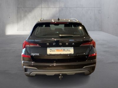 Skoda Kamiq Gebrauchtwagen