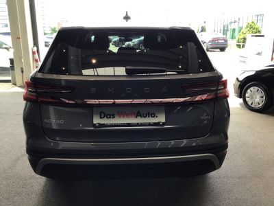 Skoda Kodiaq Gebrauchtwagen Skoda Kodiaq Gebrauchtwagen