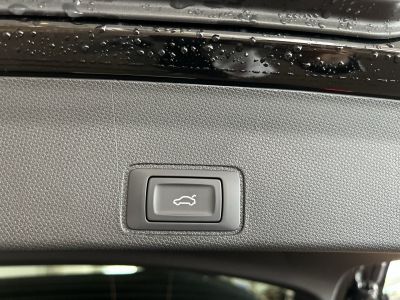 Cupra Terramar Gebrauchtwagen