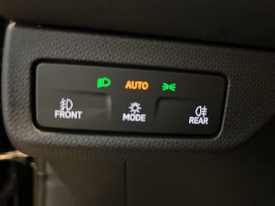 Cupra Terramar Gebrauchtwagen