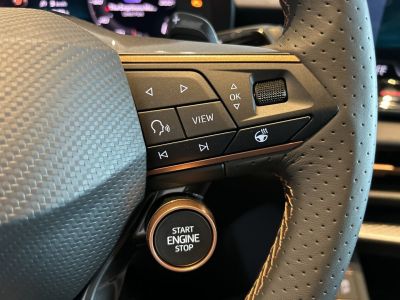 Cupra Terramar Gebrauchtwagen