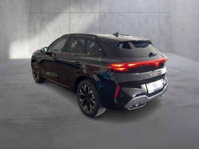 Cupra Terramar Gebrauchtwagen