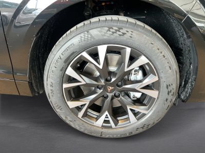 Cupra Terramar Gebrauchtwagen