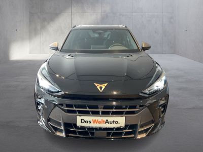 Cupra Terramar Gebrauchtwagen