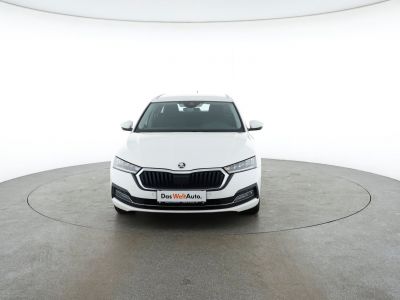 Skoda Octavia Gebrauchtwagen