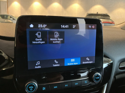 Ford Fiesta Gebrauchtwagen