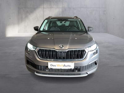 Skoda Kodiaq Gebrauchtwagen