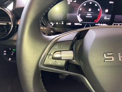 Skoda Fabia Gebrauchtwagen