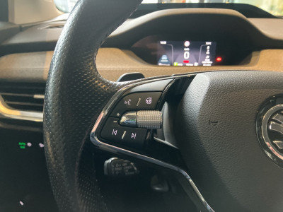 Skoda Enyaq Gebrauchtwagen