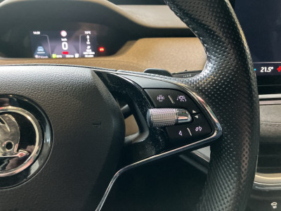 Skoda Enyaq Gebrauchtwagen