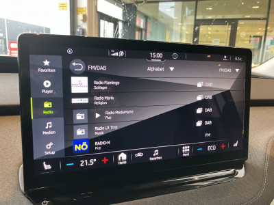 Skoda Enyaq Gebrauchtwagen