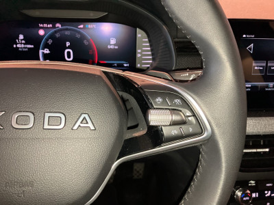 Skoda Kamiq Gebrauchtwagen