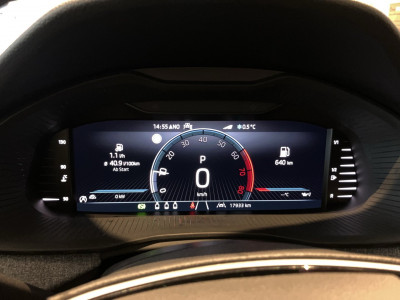 Skoda Kamiq Gebrauchtwagen